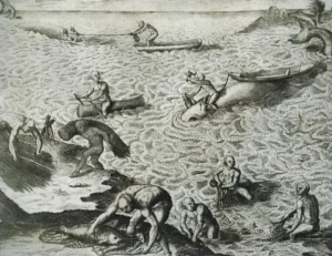 «De una pesca extraña de los indios». Grabado. Grands Voyages - Americae, 1618 - 1630. Theodore de Bry. (p. 28) Pino Iturrieta, E. (Coord.). (2006). Historia Global de Venezuela: Vol. I. Venezuela Precolombina y época colonial. Editorial Globe. ISBN 980-6427-14-9. Depósito Legal: lf 816200590052.A. CC-BY-NC-ND 4.0
