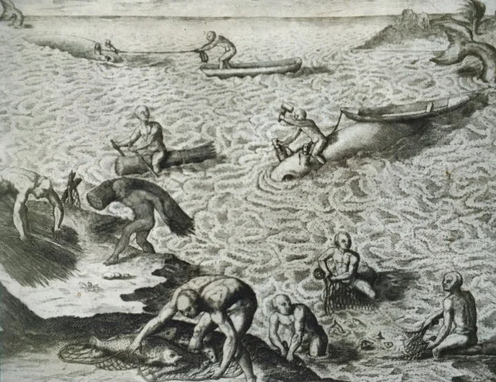 «De una pesca extraña de los indios». Grabado. Grands Voyages - Americae, 1618 - 1630. Theodore de Bry. (p. 28) Pino Iturrieta, E. (Coord.). (2006). Historia Global de Venezuela: Vol. I. Venezuela Precolombina y época colonial. Editorial Globe. ISBN 980-6427-14-9. Depósito Legal: lf 816200590052.A. CC-BY-NC-ND 4.0
