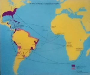Mapa de las rutas forzosas a América las cuales introdujeron al continente entre 10 y 25 millones de africanos a América durante los cuatro siglos de trata de esclavos. (p. 167) Pino Iturrieta, E. (Coord.). (2006). Historia Global de Venezuela: Vol. I. Venezuela Precolombina y época colonial. Editorial Globe. ISBN 980-6427-14-9. Depósito Legal: lf 816200590052.A. CC-BY-NC-ND 4.0